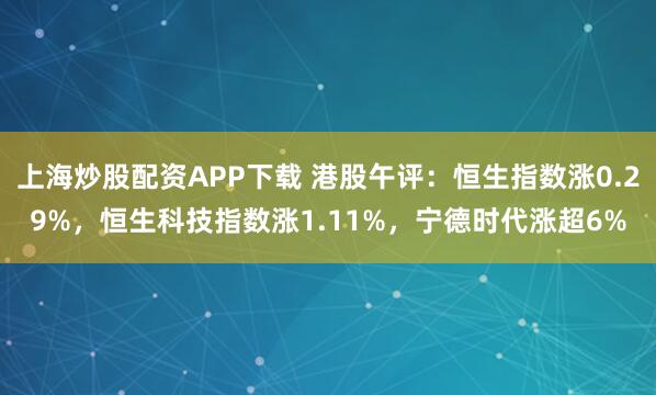 上海炒股配资APP下载 港股午评：恒生指数涨0.29%，恒生科技指数涨1.11%，宁德时代涨超6%