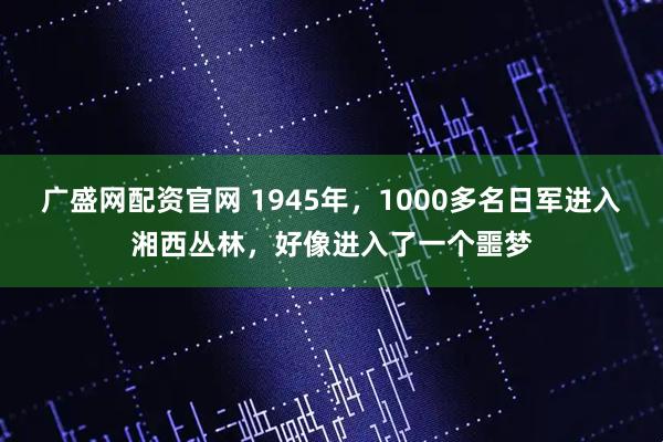 广盛网配资官网 1945年，1000多名日军进入湘西丛林，好像进入了一个噩梦